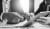 Teaser Akademie sw NEU