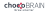 chocobrain logo screenshot