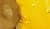 Oil filling in a worm gear