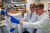 Gruppe 1 Prof Diederich