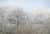 IMG 7947neu