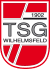Referenzen Logo TSG Wilhelmsfeld