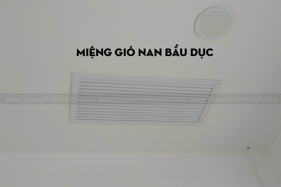 Miệng gió Nan bầu dục/Kích thước phổ biến của Miệng gió Nan bầu dục