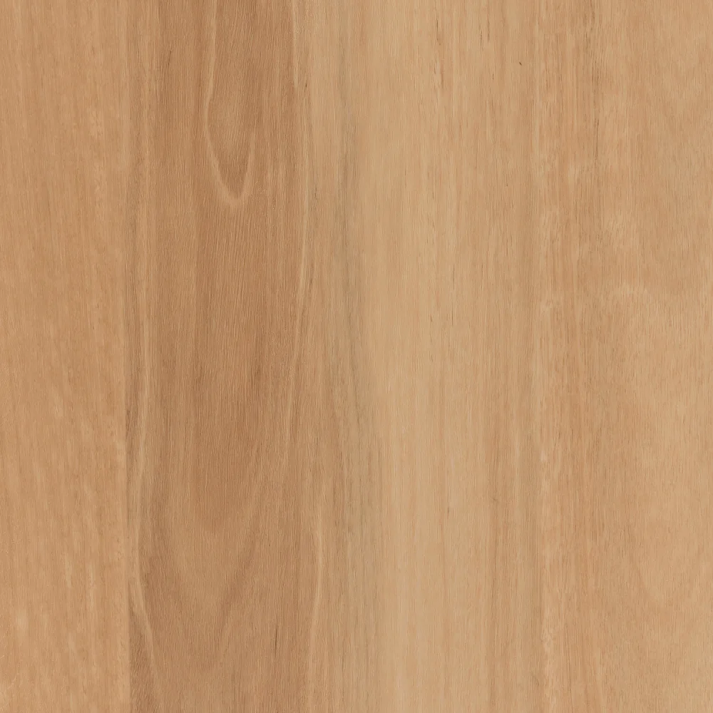Beach Blackbutt