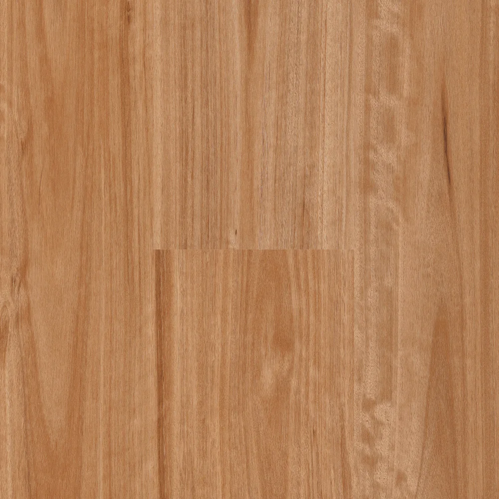 Blackbutt