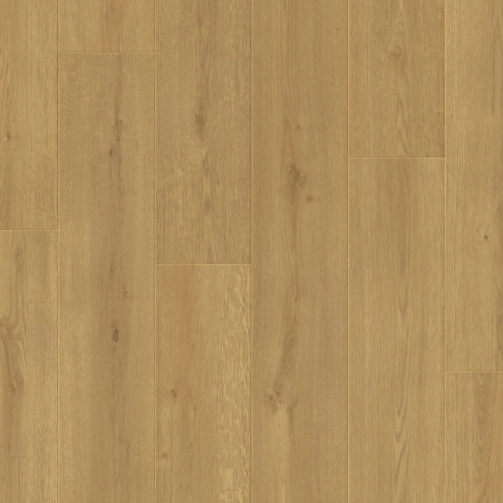 Plantino - Laminate Renova