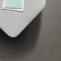 Avante