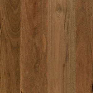 Spotted Gum