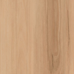 Foxley Blackbutt