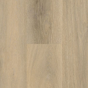 Augusta Oak