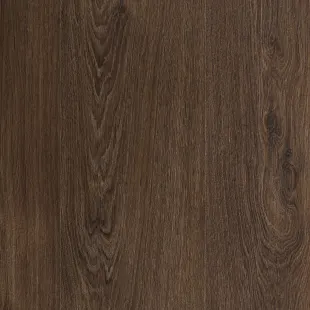 Barrel Oak