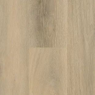 Augusta Oak