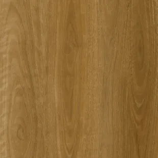 Coastal Spotted Gum