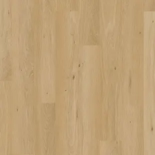 Coffee Oak