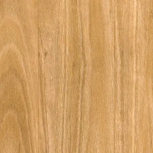 Arrawarra Blackbutt