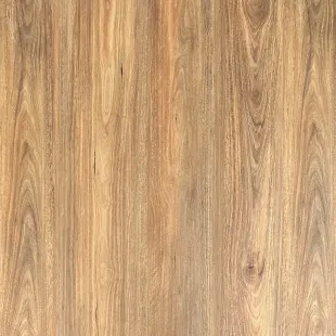 Albany Spotted Gum