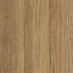 Richlands Spotted Gum