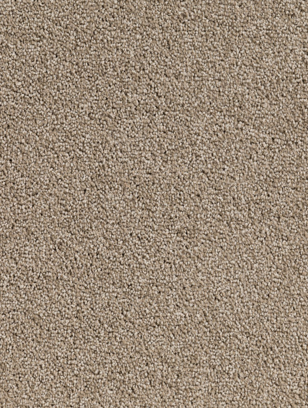 Choices Flooring New Zealand Carpet Blinds And Flooring Stores