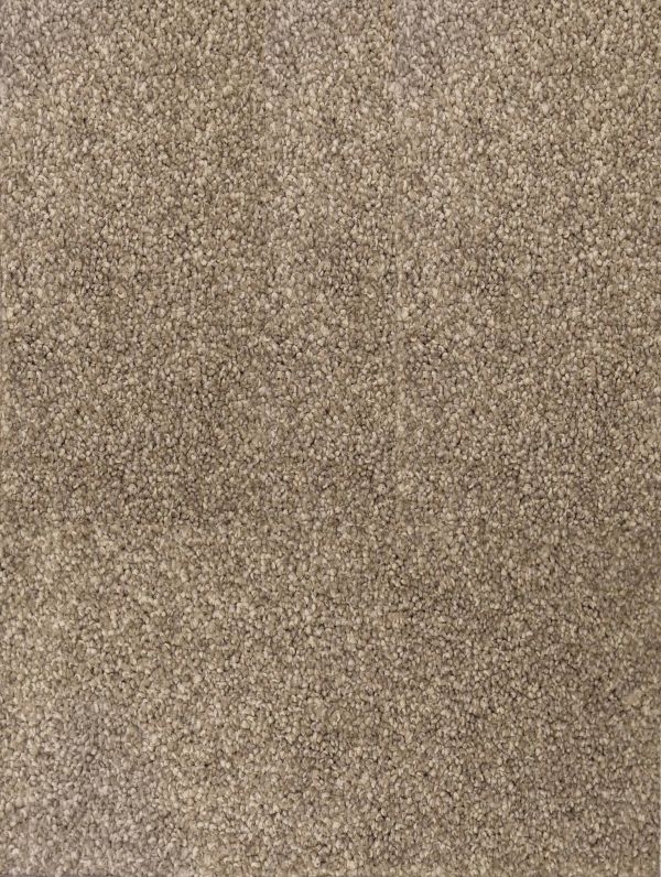 Carpet Flooring Range Wool, Synthetic & Nylon Carpets Choices Flooring