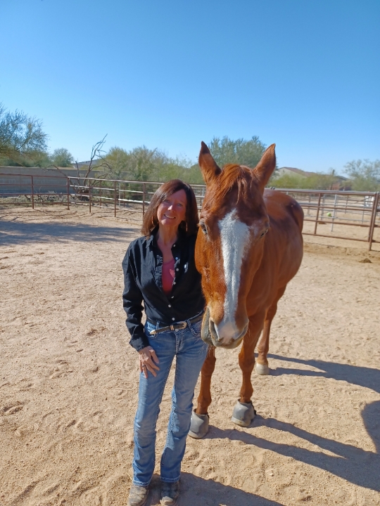 Barbara Hatton LPC is a therapist serving AZ and MI.