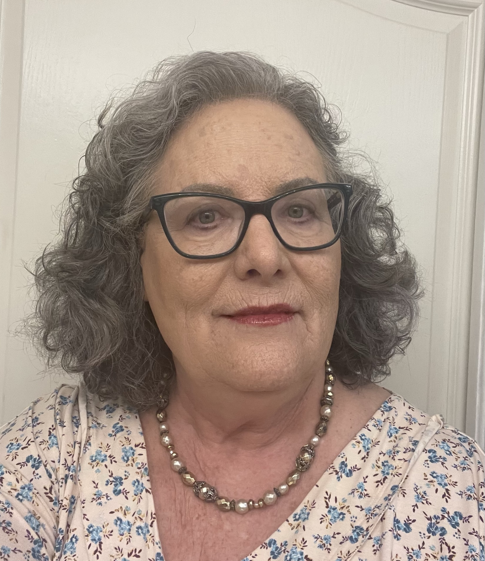 Dr. Dr. Michele Meyer LMHC is a therapist serving FL.