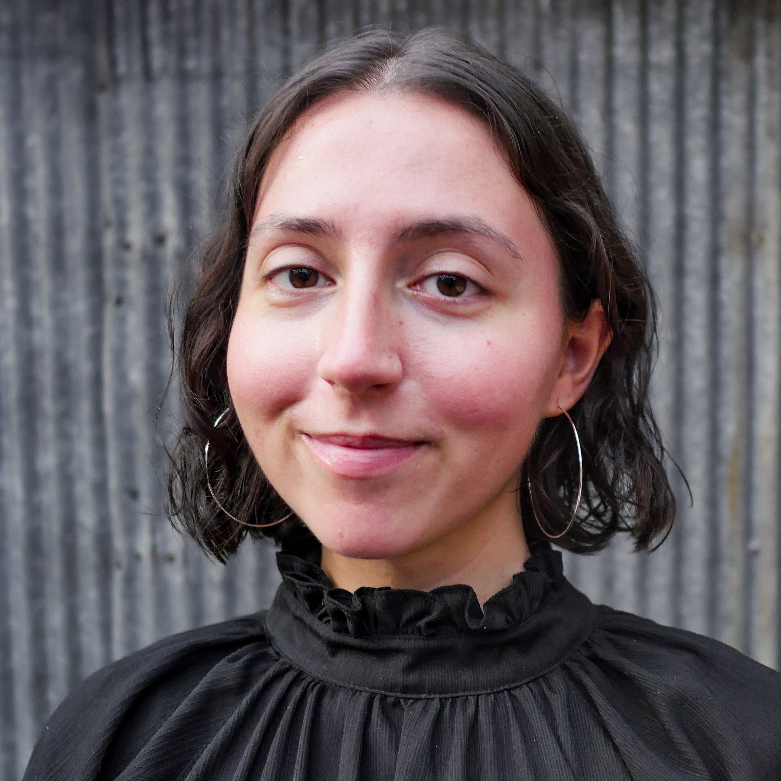 Ms. Amina Nikocevic, Mental Health Counselor Limited Permit offers