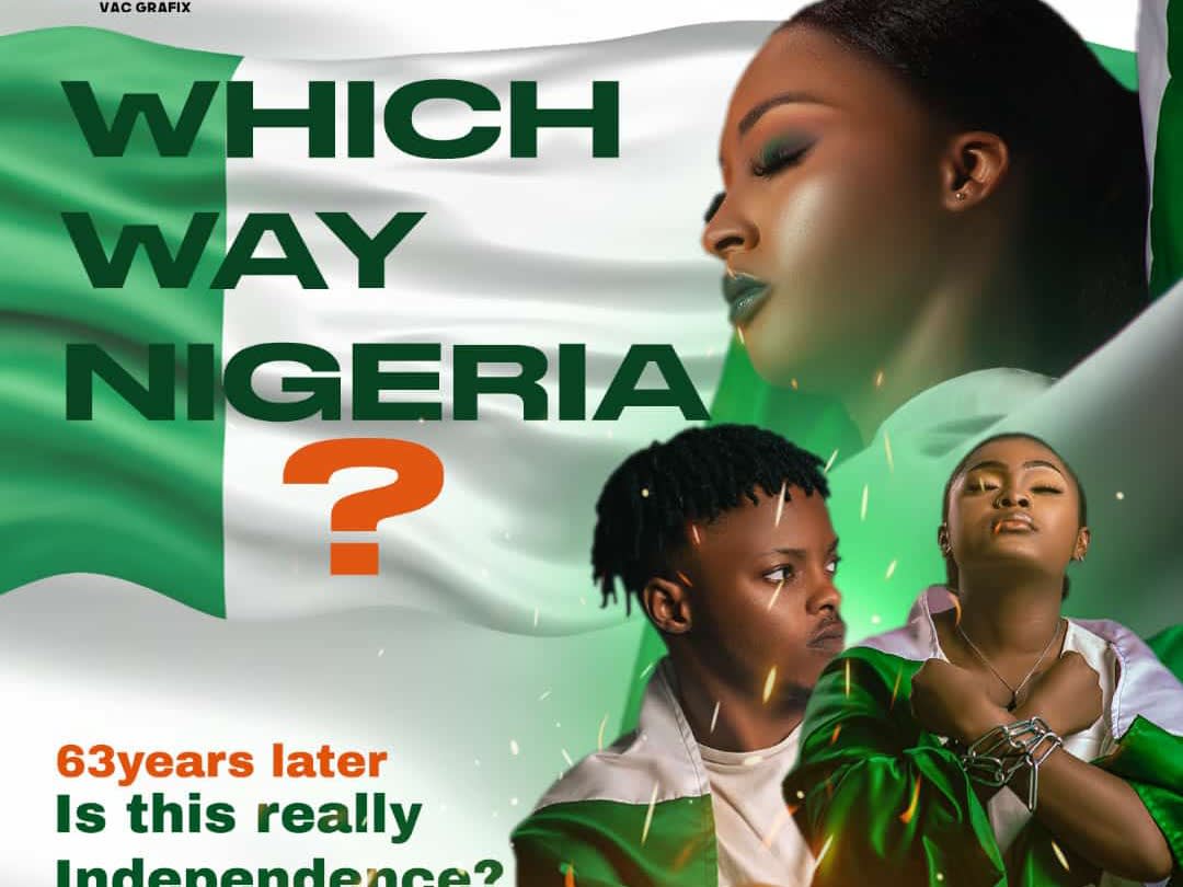 Please note
Nigeria is in debt to other countries
The currency is 0.0 to a dollar
There are lands but it either belongs to the Chinese or Arabs