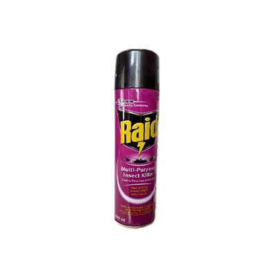 Raid Insecticide Spray 300ml
