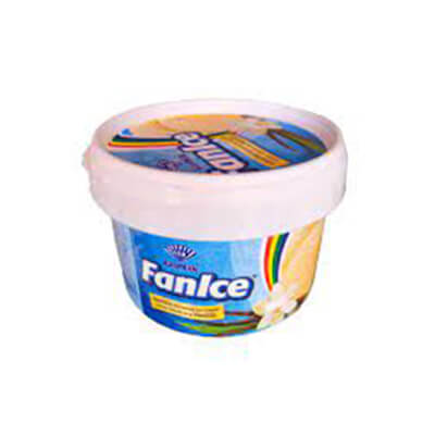 Fanice Ice Cream 250ml