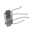 Épanouissement polaire 160422057G Épanouissement polaire 160422057G image