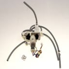 Distributeur MS-8030001484 Distributeur MS-8030001484 image