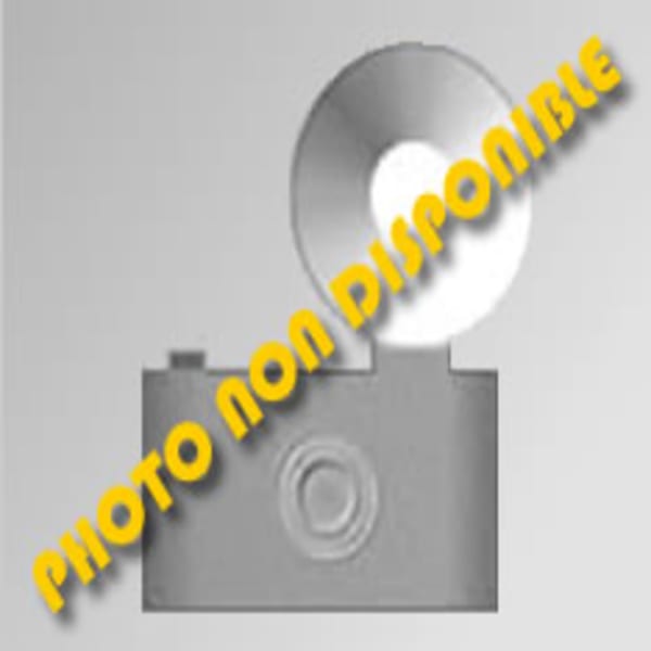 Programmateur 4261 grand format (1 / 1)