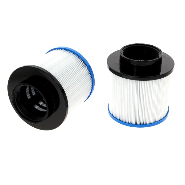 Filtre spa DARLLY SC803/OSPAZIA F001 (lot de 2) grand format (1 / 1)