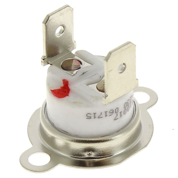 Thermostat de securite 250° grand format (2 / 3)