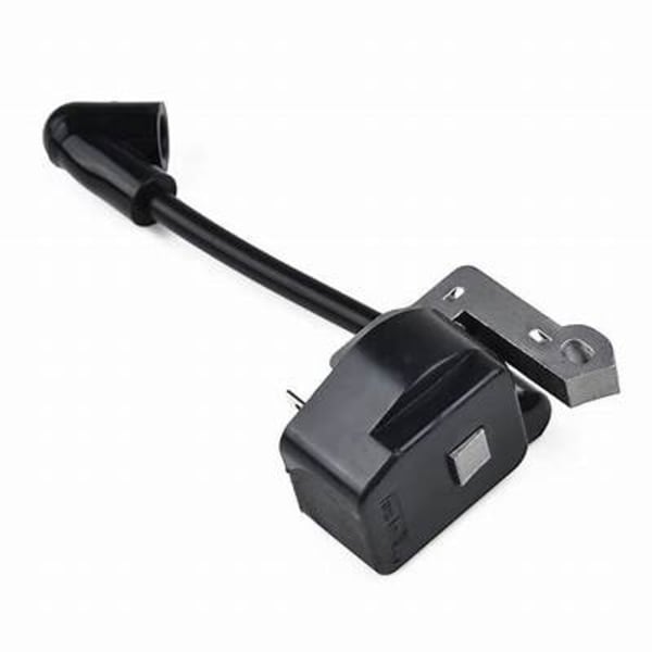 Bobine d'allumage fl30g grand format (1 / 2)