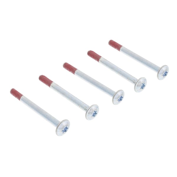 Lot de 5 vis de poignée de porte M4x44 T20 4055186656 grand format (1 / 2)