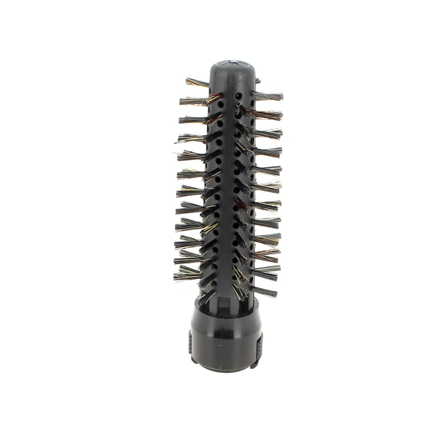 Brosse sanglier 11866711 grand format (1 / 2)