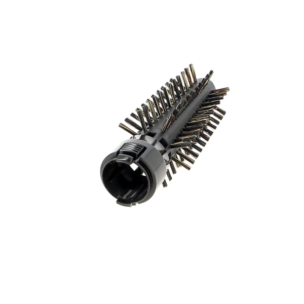 Brosse sanglier 11866711 grand format (2 / 2)
