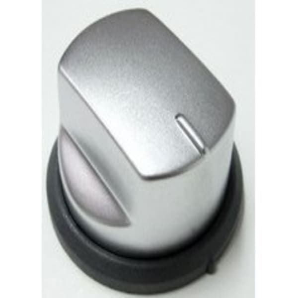 Bouton inox grand format (1 / 1)