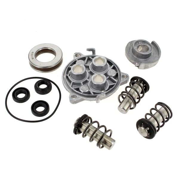 Kit pistons + joints grand format (2 / 2)