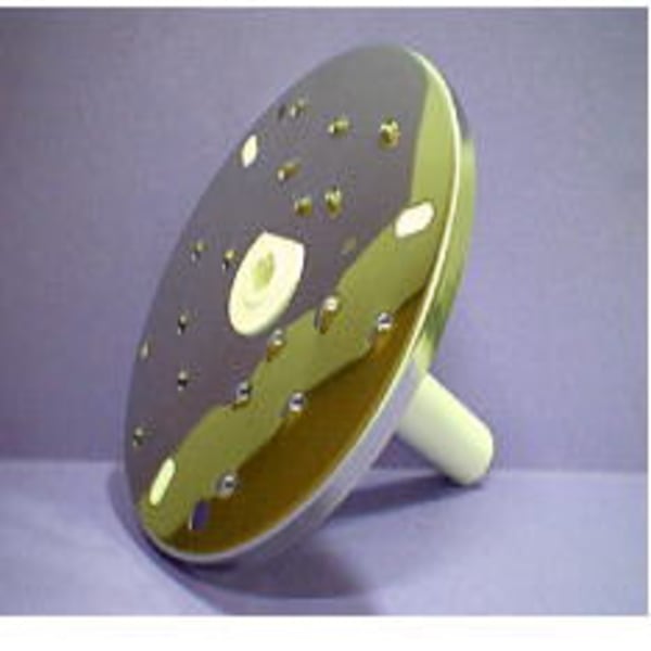 Disque julienne 1800 grand format (1 / 1)