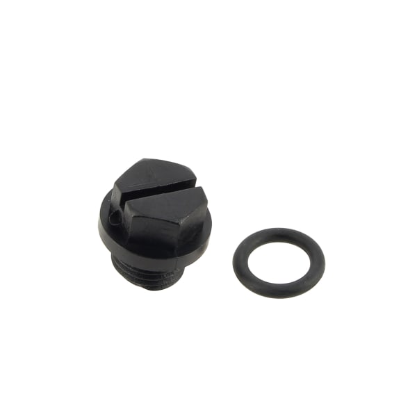 Bouchon de vidange avec joint max-flo NM ap.91 SPX1700FG grand format (1 / 6)