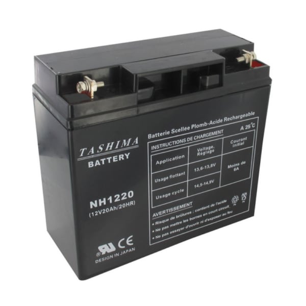 Batterie 12v 20a nh1220 , 118120007/0 grand format (1 / 1)