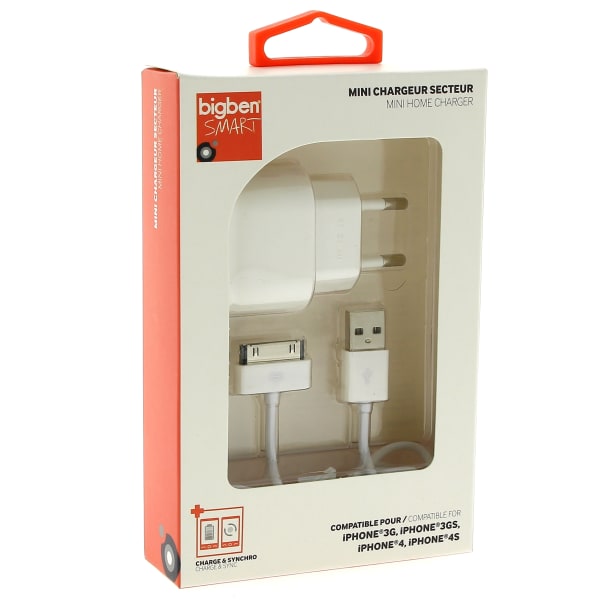 Chargeur secteur + cable adaptable 1a grand format (1 / 1)