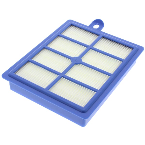 Filtre hepa 13 allergy lavable, efs1w grand format (1 / 2)
