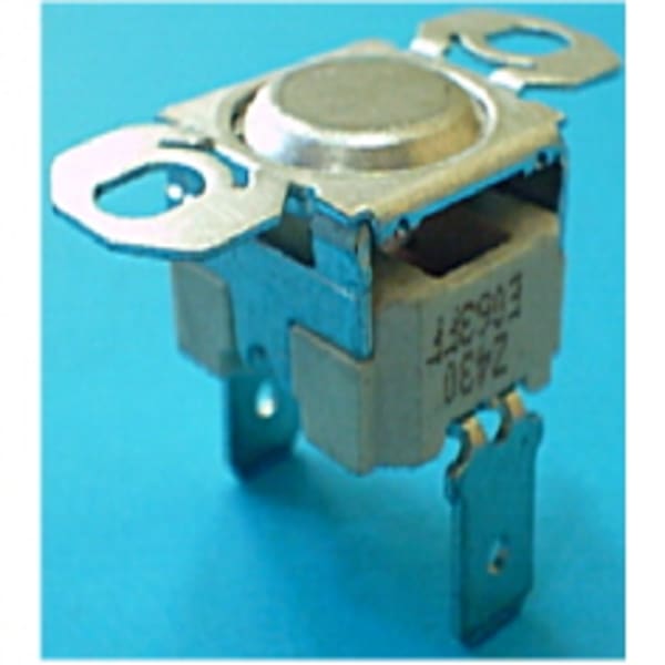 Thermostat limiteur 00420754 grand format (1 / 1)