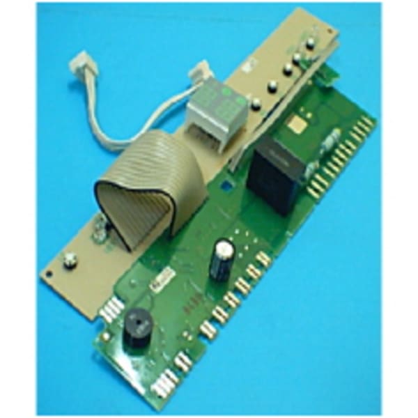 Module grand format (1 / 1)