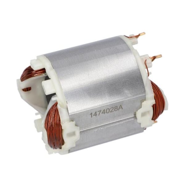 Épanouissement polaire 1619P04474 grand format (1 / 1)