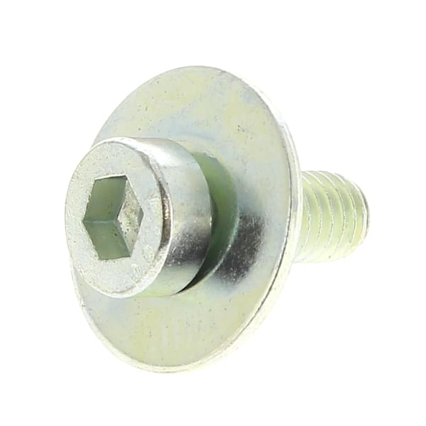 Vis cylindrique six pans 2609000295 grand format (1 / 2)