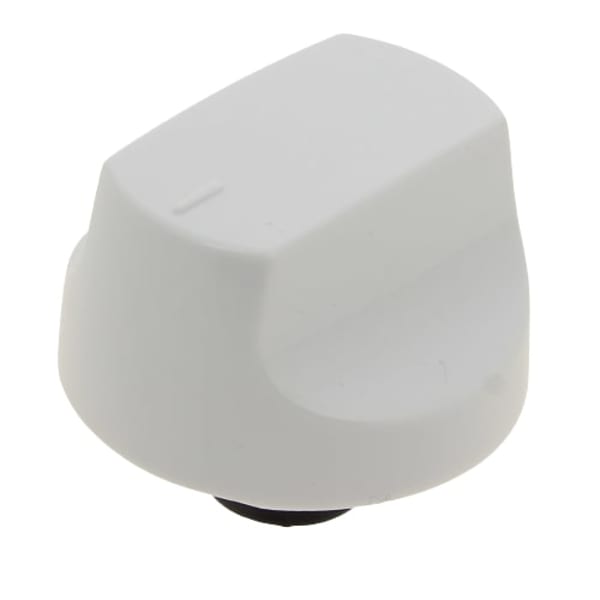 Bouton blanc grand format (1 / 1)